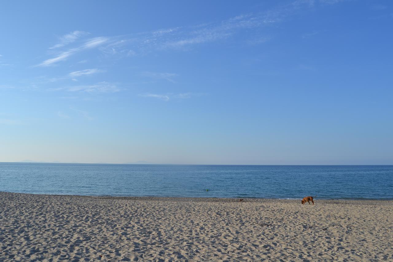 Miramare Struttura Sulla Spiaggia Platamona Exterior photo